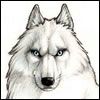 514 Animal Avatars y7opnbf52k