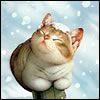 514 Animal Avatars k7opnb2wr2