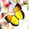 514 Animal Avatars p7opnc8xdj