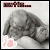 514 Animal Avatars 27opndcosc