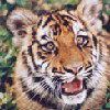 514 Animal Avatars i7opndl5cr