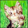 514 Animal Avatars p7opndwqkf