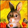 514 Animal Avatars r7opnea3xr