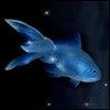 514 Animal Avatars g7opne0cf4