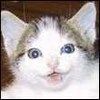514 Animal Avatars w7opne6wml