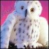 514 Animal Avatars 57opneqb7r