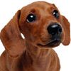 514 Animal Avatars q7opngph57
