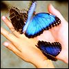 514 Animal Avatars b7opngwmlm