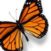 514 Animal Avatars g7opnhceow