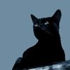 514 Animal Avatars z7opn02w60