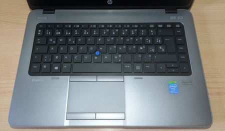 92103022_PXL_20230811_111405349.jpg